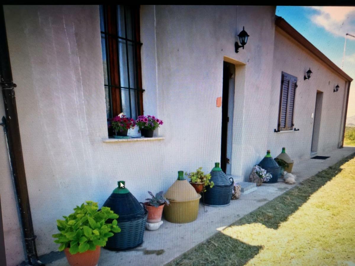 Su Cuile Historical Country House With Barbecue Martis Exterior photo
